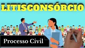 resumo de litisconsórcio (processo civil)