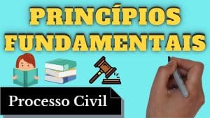 resumo de princípios fundamentais (processo civil)