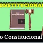 resumo de neoconstitucionalismo (direito constitucional)