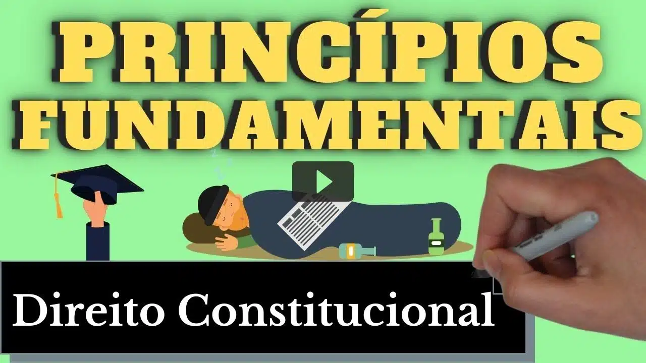 resumo de princípios fundamentais (direito constitucional)