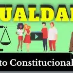 resumo de princípio da igualdade (direito constitucional)