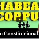 resumo de habeas corpus (Direito Constitucional)