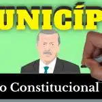 resumo de município (direito constitucional)