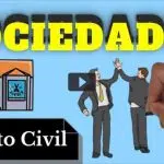 resumo de sociedade (direito civil)