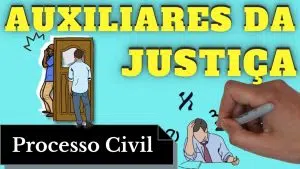 resumo de auxiliares da justiça processo civil