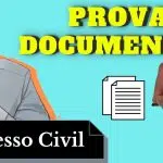 resumo de prova documental (processo civil)