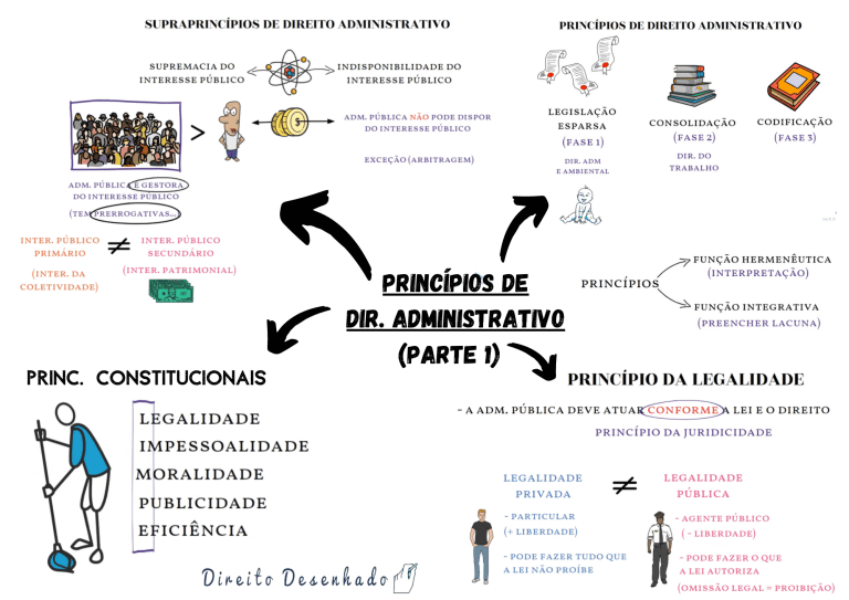 Princípios De Direito Administrativo Resumo Completo 8151