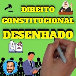Curso de Direito Constitucional Desenhado (Direito Desenhado)